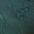 Karo Renk014