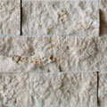 OLD014